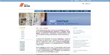 多源思维丽安软件外包服务 专业高效的技术合作伙伴