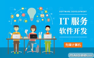 先锋IT软件与外包服务全面解析——十大品牌网推荐